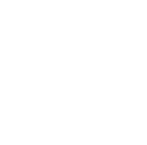 An image of HubSpot Partner logo